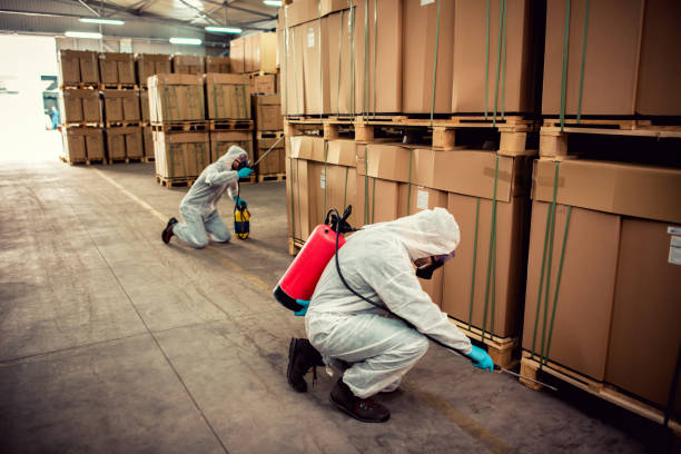 Best Wildlife Control Services  in Sun Valley, NV