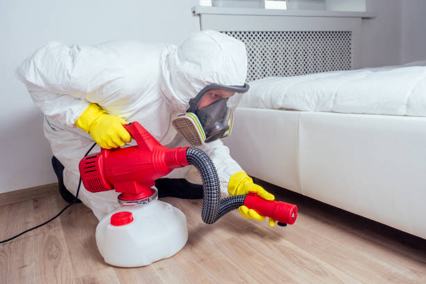 Best Local Pest Control Services  in Sun Valley, NV